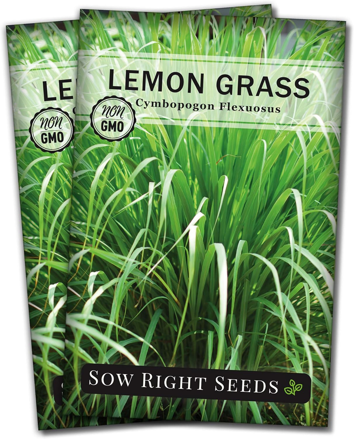 Sow Right Seeds - Lemon Grass Seeds for Planting - Non-GMO Heirloom - East Indian - Mosquito Repellent - Ideal for Outdoors - Easy to Grow Lemongrass - Garden Herb for Culinary and Fragrant Use (2)