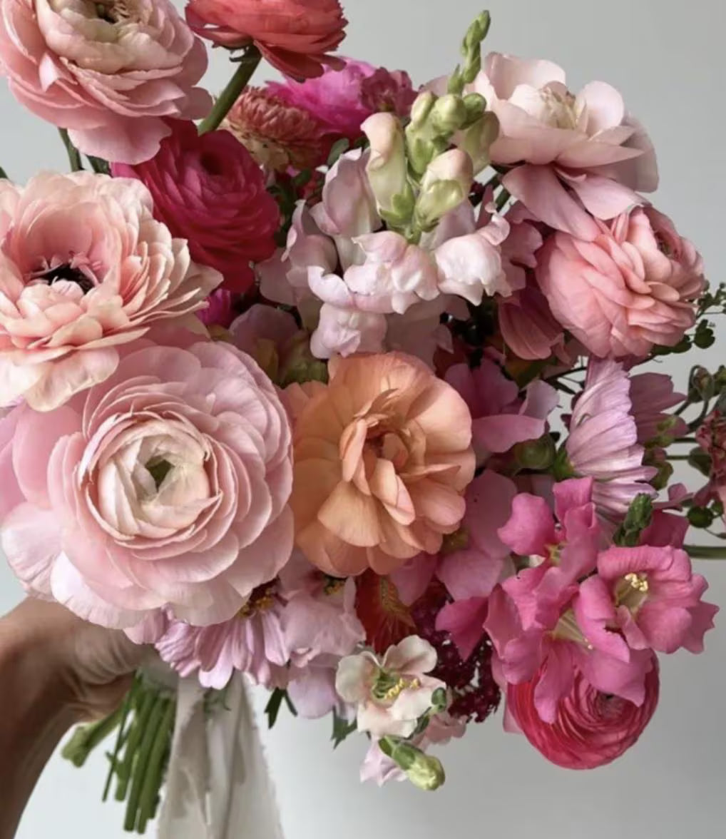 Ranunculus - Elegance Dolce Vita