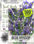 Seed Needs Hyssop Seeds for Planting Blue Hyssop Herbs - Non-GMO Heirloom  Untreated Hyssopus officinalis Seed to Plant an Indoor/Outdoor Medicinal Herb Garden (1 Pack)