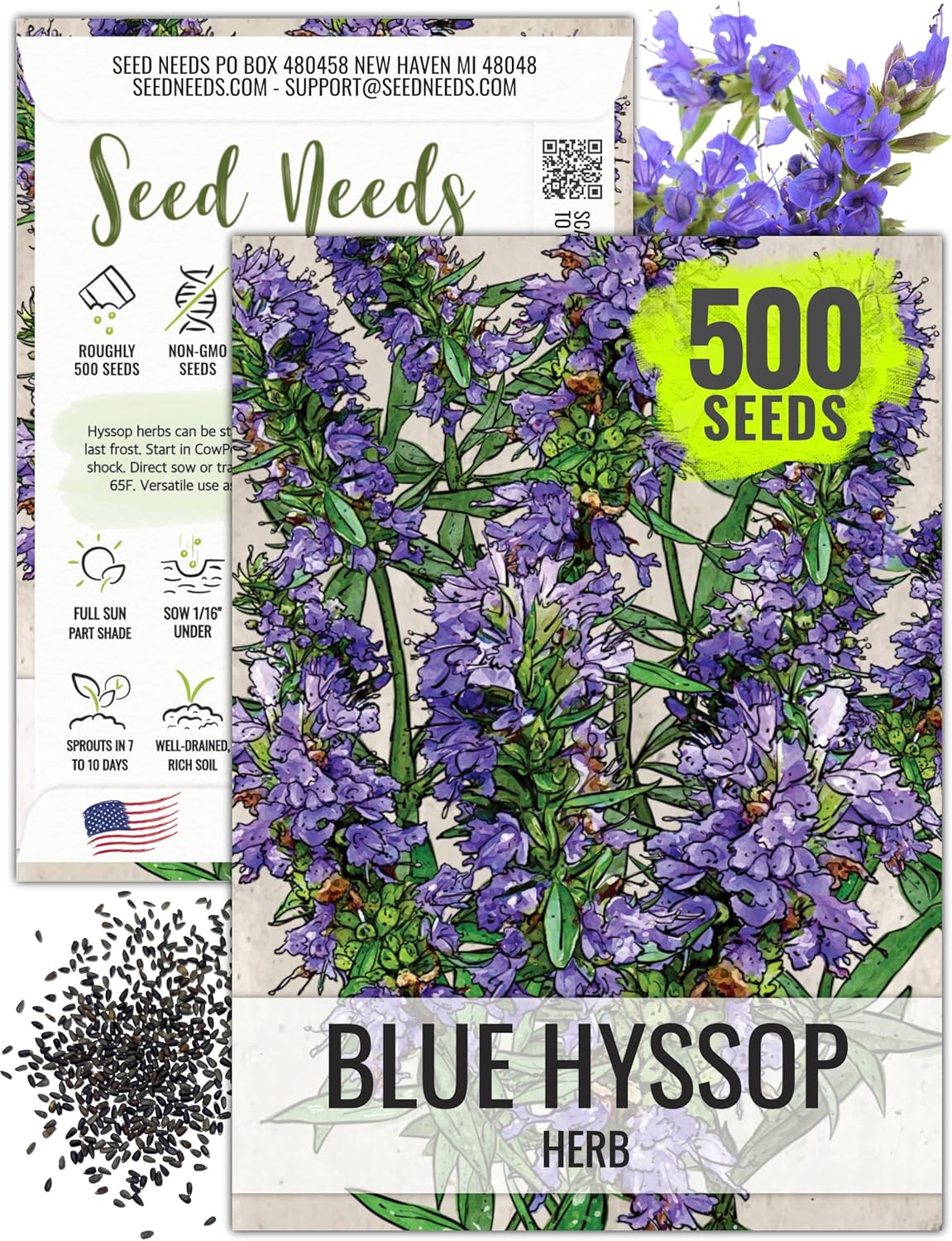 Seed Needs Hyssop Seeds for Planting Blue Hyssop Herbs - Non-GMO Heirloom  Untreated Hyssopus officinalis Seed to Plant an Indoor/Outdoor Medicinal Herb Garden (1 Pack)
