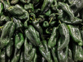 Poblano Pepper Seeds (Mild Heat) | Heirloom - Non-GMO | Capsicum Annuum | Vegetable Seeds | Seed Store | 1011(15 Seeds)