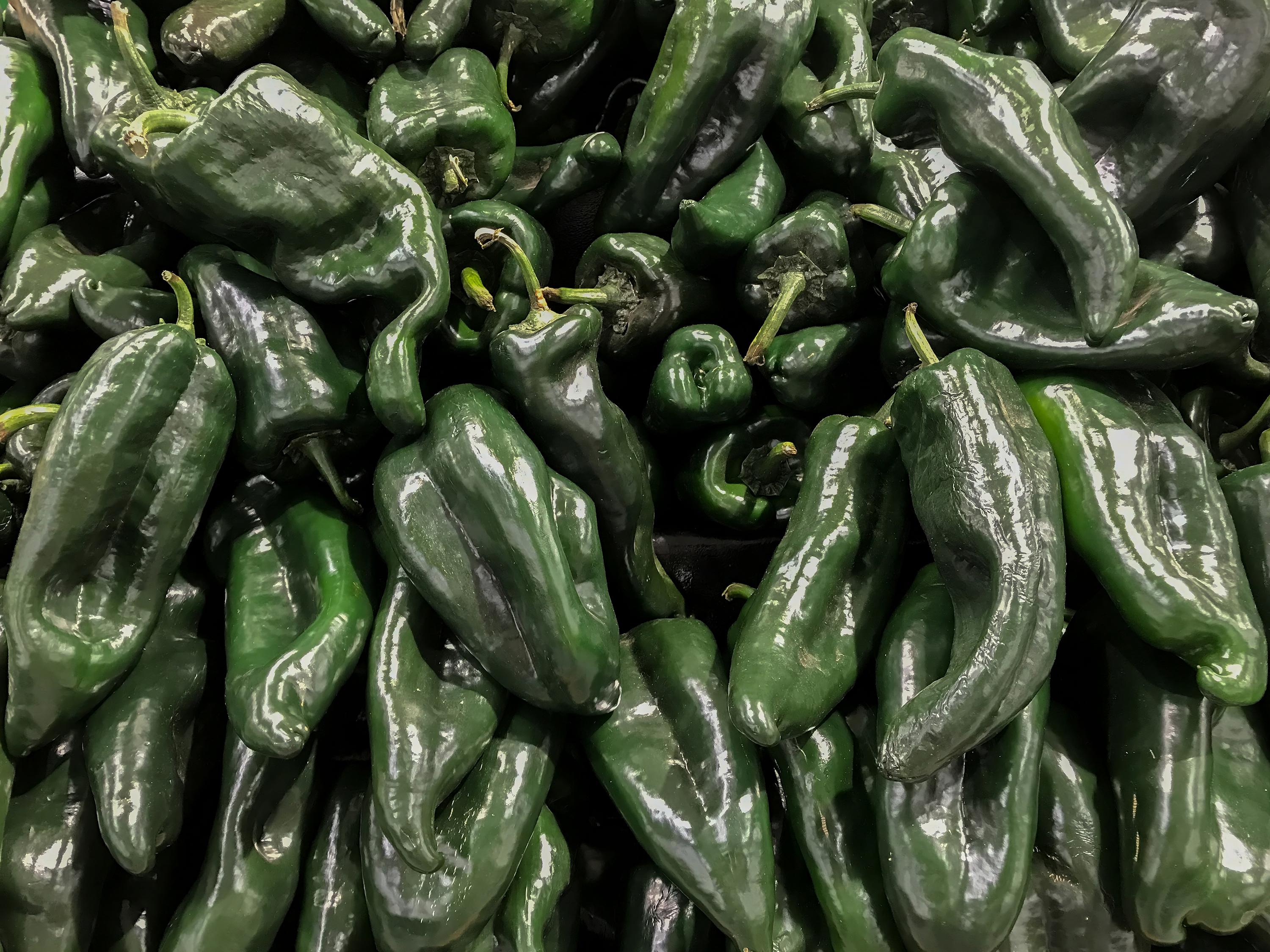 Poblano Pepper Seeds (Mild Heat) | Heirloom - Non-GMO | Capsicum Annuum | Vegetable Seeds | Seed Store | 1011(15 Seeds)