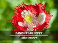 Danish Flag Poppy Seeds – Heirloom Flower, Ruffled Red Petals with White Cross, Non-GMO, Unique Garden Gift | 100 Seeds