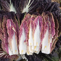 Cabbage Chinese Miss Hong seed 50