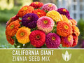 Zinnia, California Giant Mix Heirloom Seeds, Flower Seeds