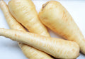 Parsnip Harris Seeds Non-GMO, Open Pollinated, Heirloom for Hydroponics, Aquaponics, Soil, Raised Bed, Indoor, Outdoors, In Pots,Green House(1 Pack)