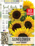Seed Needs Dwarf Sunspot Sunflower Seeds for Planting Short Yellow Sunflowers - Heirloom  Open Pollinated Annual Cut Flower Seed to Plant 2 Foot Tall Sun Flowers (1 Pack)(1 Pack/Dwarf Sunspot Yellow)