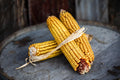 Dublin Dent Corn Seeds: Rare Organic Heirloom, Non-GMO
