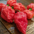 Apocalypse Scorpion Pepper Seeds(10+ Seeds)