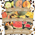 Organic Melon Seeds Variety Pack - 10 Individual Packs - 2026 Season - Sugar Baby, Charentais, Hearts of Gold and More! for Indoor  Outdoor Planting (Non-GMO, Certified Organic)