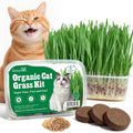 Groundio Cat Grass Seeds, All in 1 Cat Grass Growing Kit for Indoor Cats, Organic Wheat  Oat Seed with 98% High Germination Rate, Heirloom | Non-GMO | Coco Coir | BPA Free Container