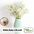 30 Seeds| White Baby#39;s Breath Seeds | Gypsophila fastigiata | Authentic | Heirloom | Vibrant Blooms| Pollinator Friendly | Non-GMO#8010