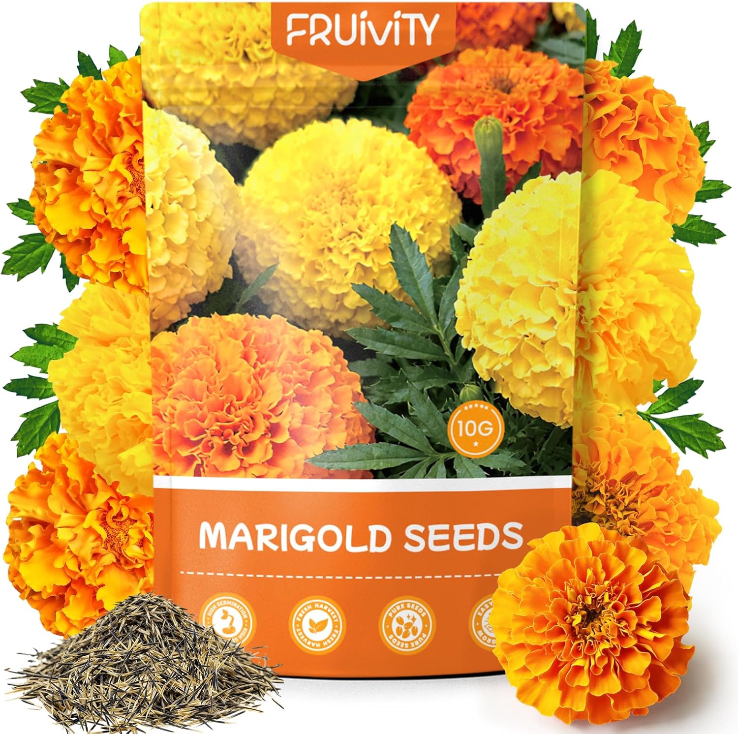 Fruivity Moss Rose Seeds for Planting, 24,000+ Annual Flower for Ground Cover Flower Seeds, Perennial Variety, Easy to Grow, Portulaca Seeds to Plant Outdoors Garden Containers(Marigold)