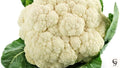100 Snowball Cauliflower Seeds Easy to Grow Vegetable Garden Seeds | Heirloom Non-GMO | High Yield Healthy Veg | CZ Grain USA