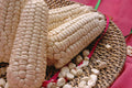 Cacahuazintle Corn Seeds: Mexican Heirloom for Pozole(10 Seeds)