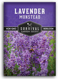 Munstead English Lavender Seeds for Planting – Compact Dwarf Hardy Perennial Herb for Indoor or Outdoor Gardens, Culinary  Fragrant Pollinator Flower - Survival Garden Seeds (1 Pack)