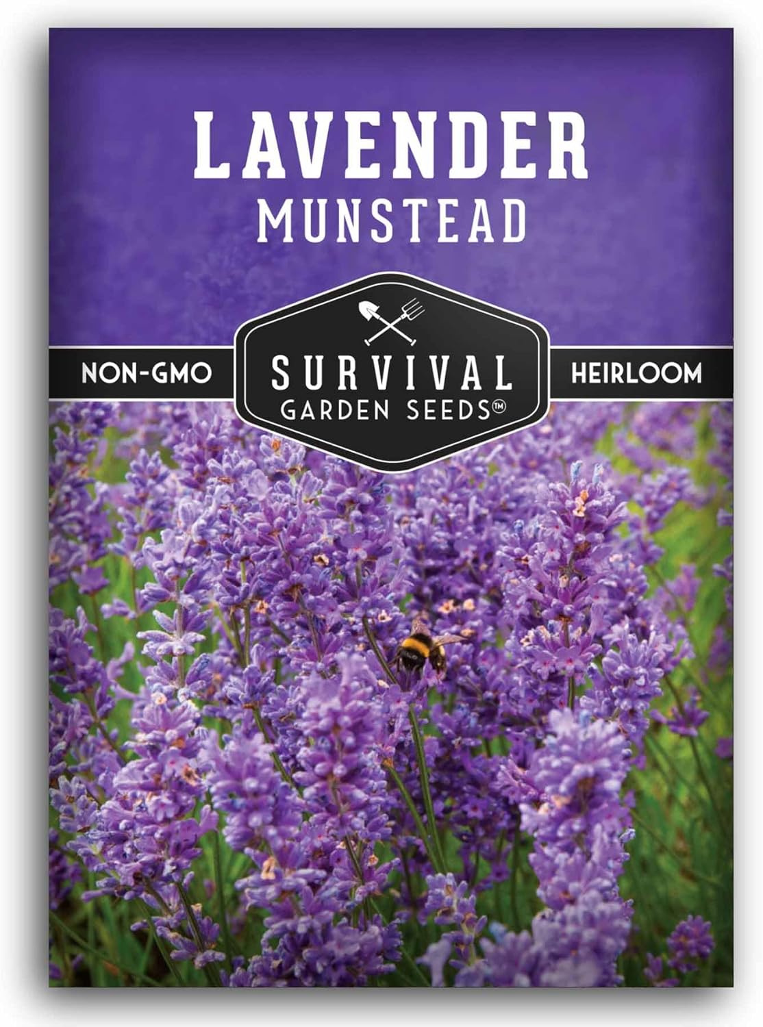 Munstead English Lavender Seeds for Planting – Compact Dwarf Hardy Perennial Herb for Indoor or Outdoor Gardens, Culinary  Fragrant Pollinator Flower - Survival Garden Seeds (1 Pack)