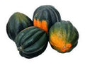 Premium Table King Bush Acorn Winter Squash - Fresh Organic Heirloom Seeds - Very Prolific - Great for Container Gardening or limited space.(10 Seeds 1.99)