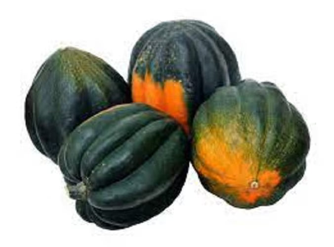 Premium Table King Bush Acorn Winter Squash - Fresh Organic Heirloom Seeds - Very Prolific - Great for Container Gardening or limited space.(10 Seeds 1.99)