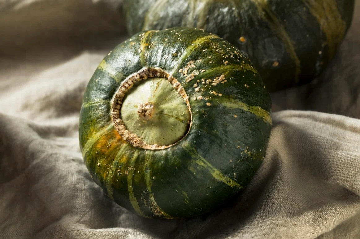 Buttercup winter squash seeds(improved turban style squash)