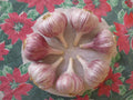 Duganski culinary garlic bulbs, small size bulbs: 1 5/8 to 1 7/8 - Organically grown, good for eating.(1/2 lb)