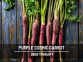 Cosmic Purple Carrot Seeds – Heirloom, Deep Purple Carrot, Open Pollinated  Non-GMO, Rare Garden Vegetable | 250 Seeds