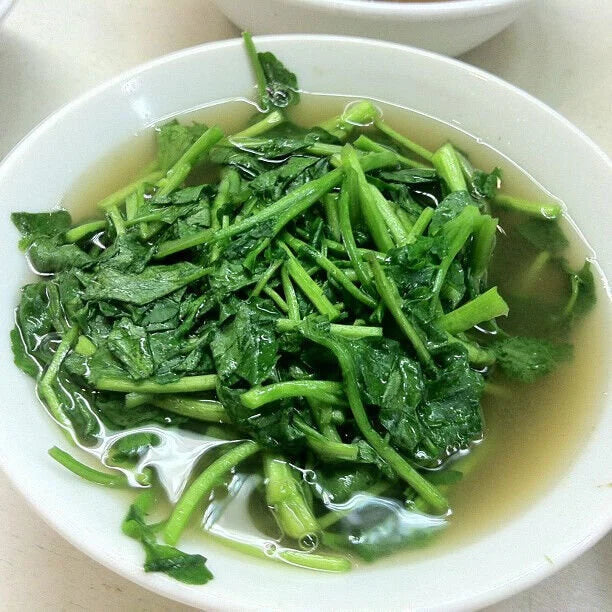 2000 True Watercress Seeds Non-GMO Heirloom | USA Seller(2000 Seeds)