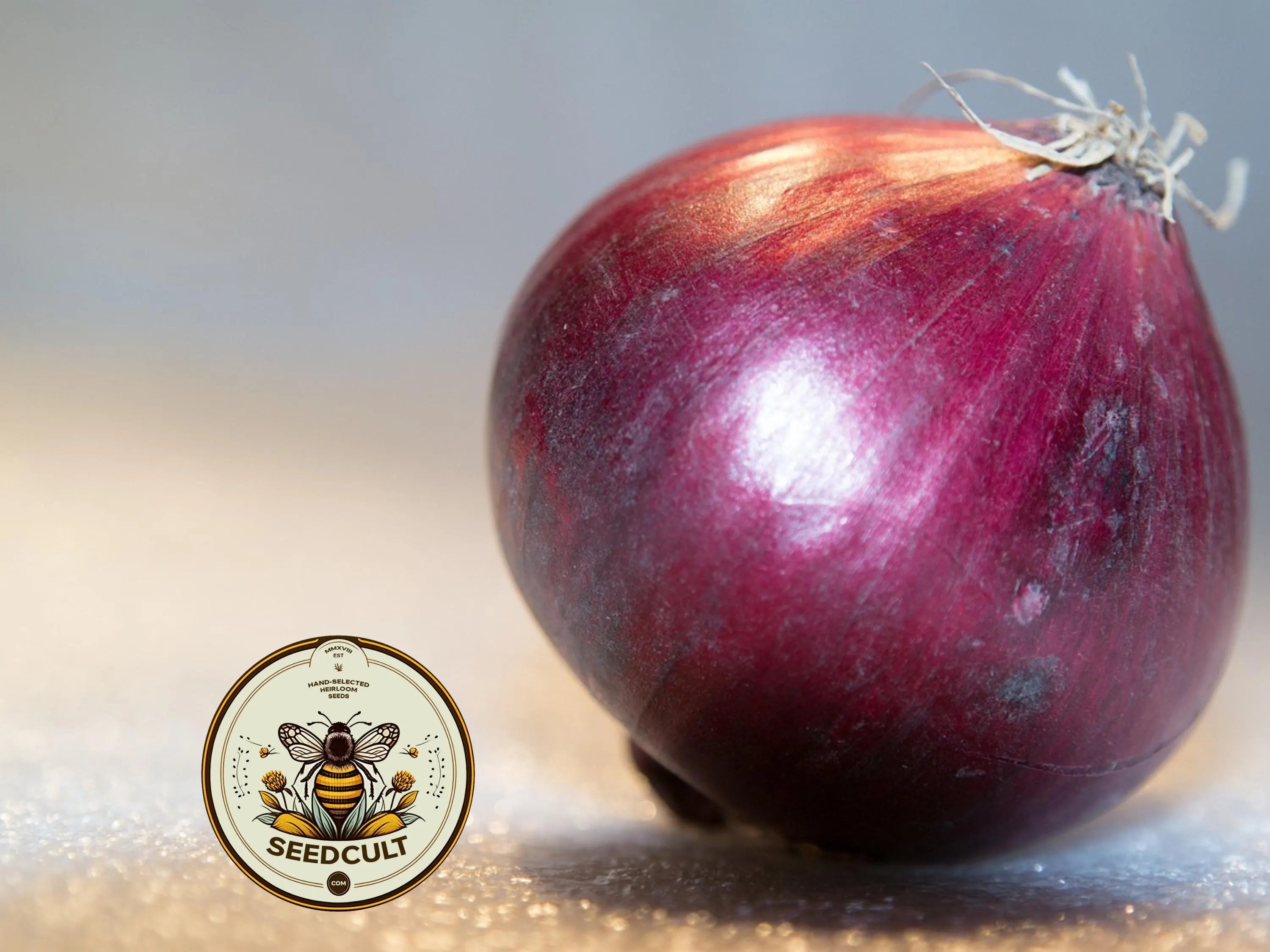 Ruby Red Onion Seeds, Allium Cepa AL4315C