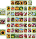 Set of 50 Assorted Flower Seed Packets! Flower Seeds in Bulk - 10+ Varieties Available!