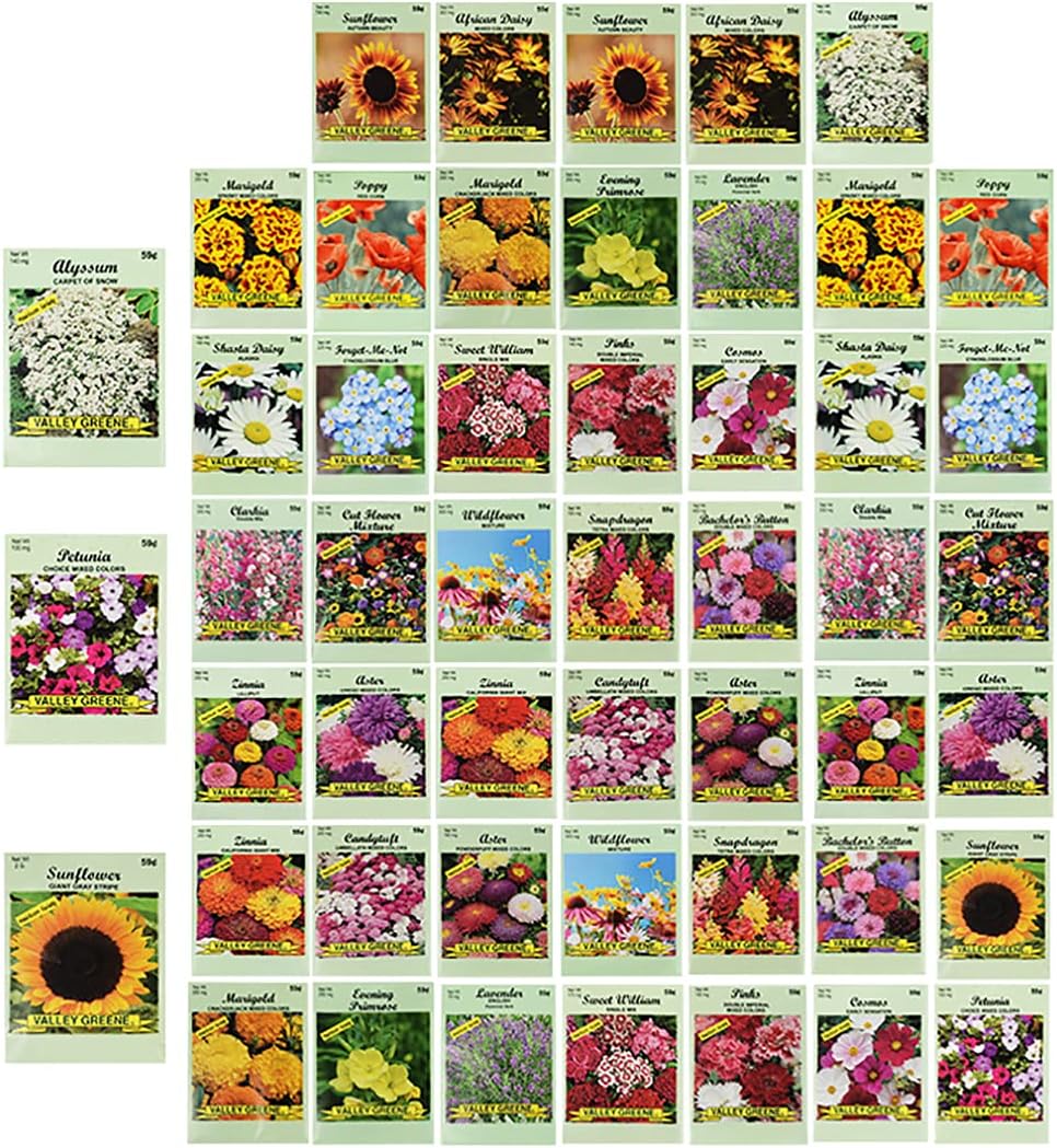 Set of 50 Assorted Flower Seed Packets! Flower Seeds in Bulk - 10+ Varieties Available!