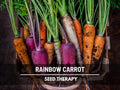 Rainbow Blend Carrot Seeds – Heirloom Colorful Carrots, Open Pollinated  Non‑GMO, Vegetable Garden Favorite | 100 Seeds