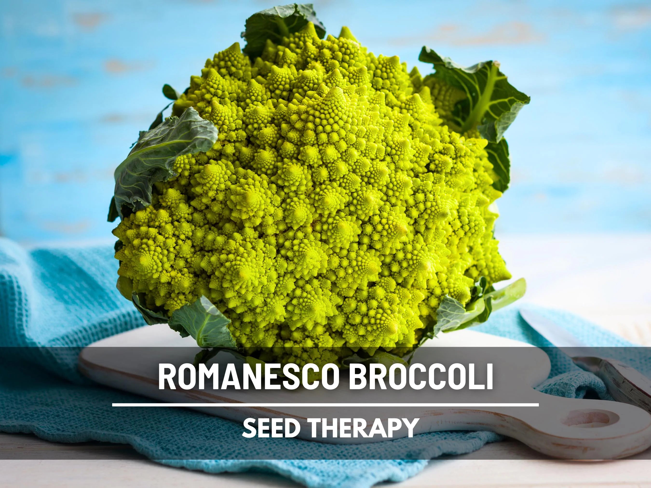 Romanesco Broccoli Seeds – Heirloom, Non-GMO, Open Pollinated, Unique Fractal Heads, Nutty Flavor, Easy to Grow Vegetable | 100 Seeds