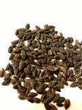 Aleppo Pine Tree Seeds (PINUS HALEPENSIS) (Jerusalem Pine)(5 Seeds)