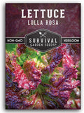 Lolla Rossa Lettuce Seeds for Planting - Red Leaf Lettuce Seeds for Garden Growing, Heat Tolerant Cut-and-Come-Again Heirloom Non-GMO Variety - Survival Garden Seeds (1 Pack)