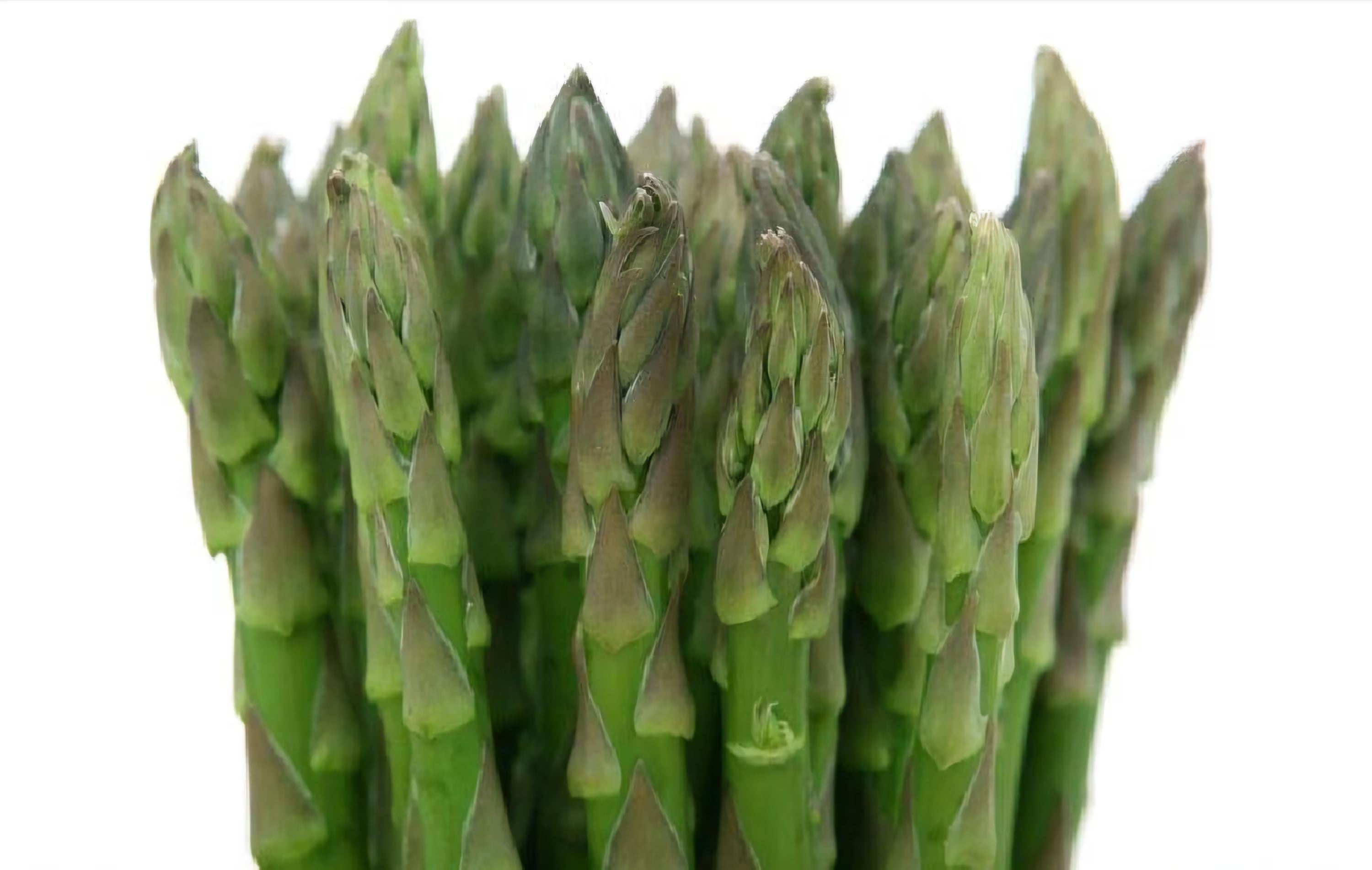 Asparagus seeds