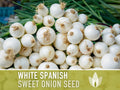 White Sweet Spanish Onion Heirloom Seeds