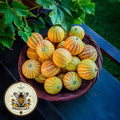 Queen Anne#39;s Pocket Melon, Vine Peach, Plum Granny, Pomegranate Melon, Tiny Melon, Fragrant, Cucumis Melo, CU1810