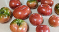 Dwarf Sissy#39;s Britches Tomato