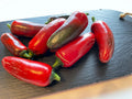 Nadapeno Pepper Seeds(10 seeds)