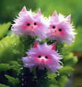 Big Flower Cat Face Cat#39;s Eye Dazzle Orchid Flower 50 Seeds