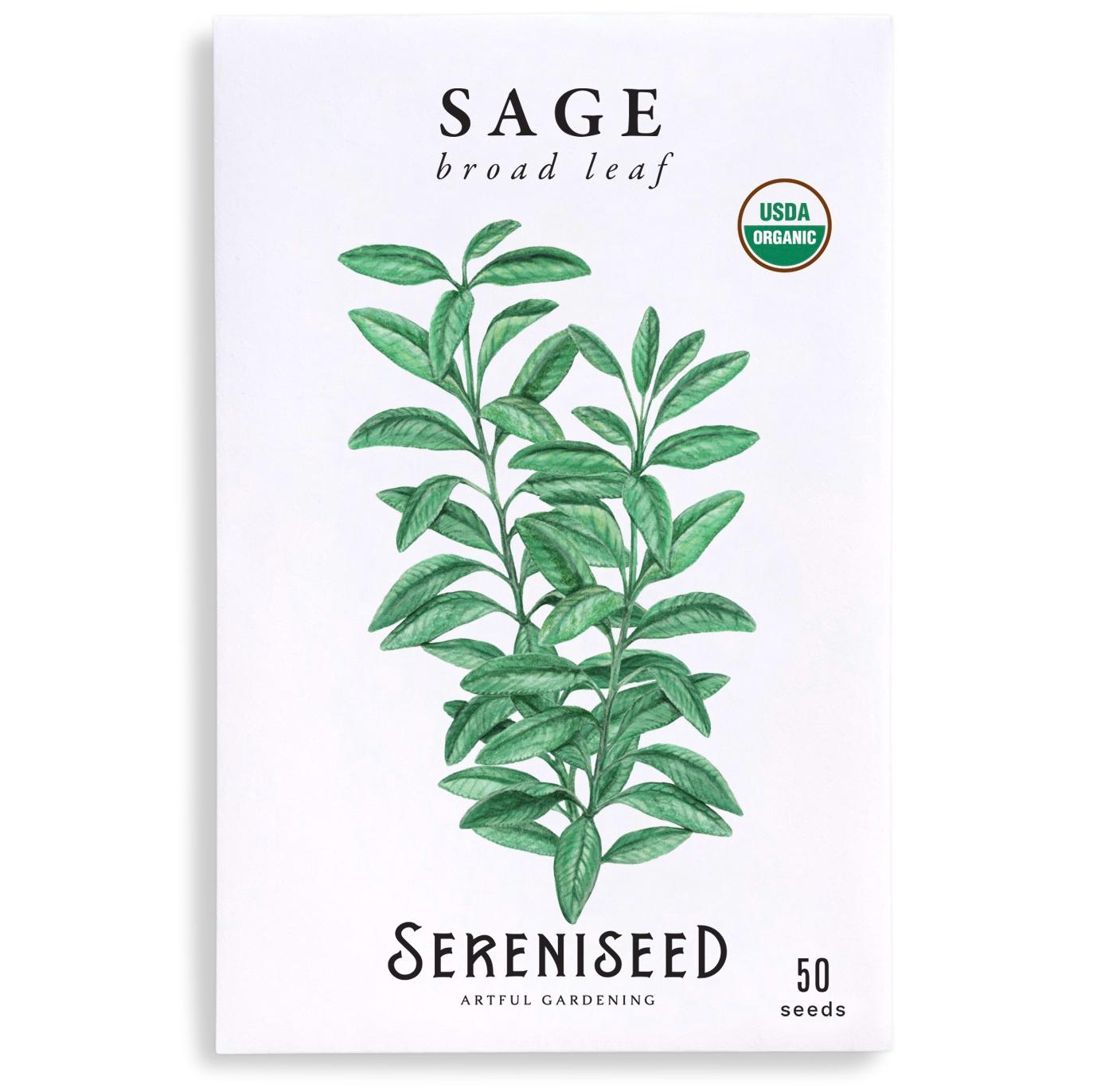 Certified Organic Broad Leaf Sage Seeds