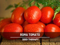 Roma VF Tomato Seeds – Heirloom Vegetable, Determinate Plant, Plum Tomato, Great for Canning and Tomato Paste | 50 Seeds