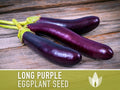 Long Purple Eggplant Heirloom Seeds