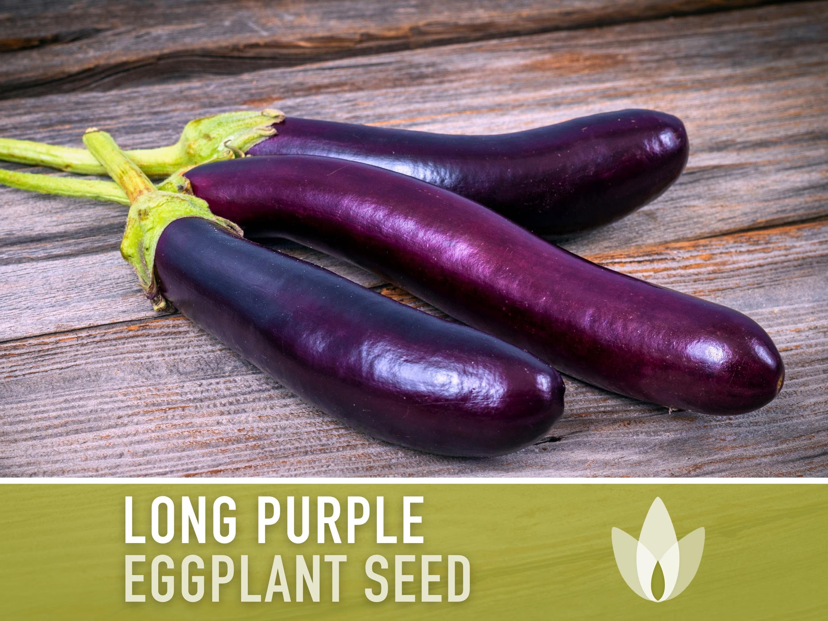 Long Purple Eggplant Heirloom Seeds