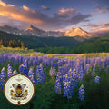 Silvery Mountain Lupine Seeds, Lupinus Argenteus, Silvery Mountain Lupine Seeds,  LP0525
