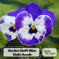 Sorbet Delft Blue Viola Seeds - Cold Resistant - Self-Pollinating - Draft Resistant - Plant in late Summer/Spring #229