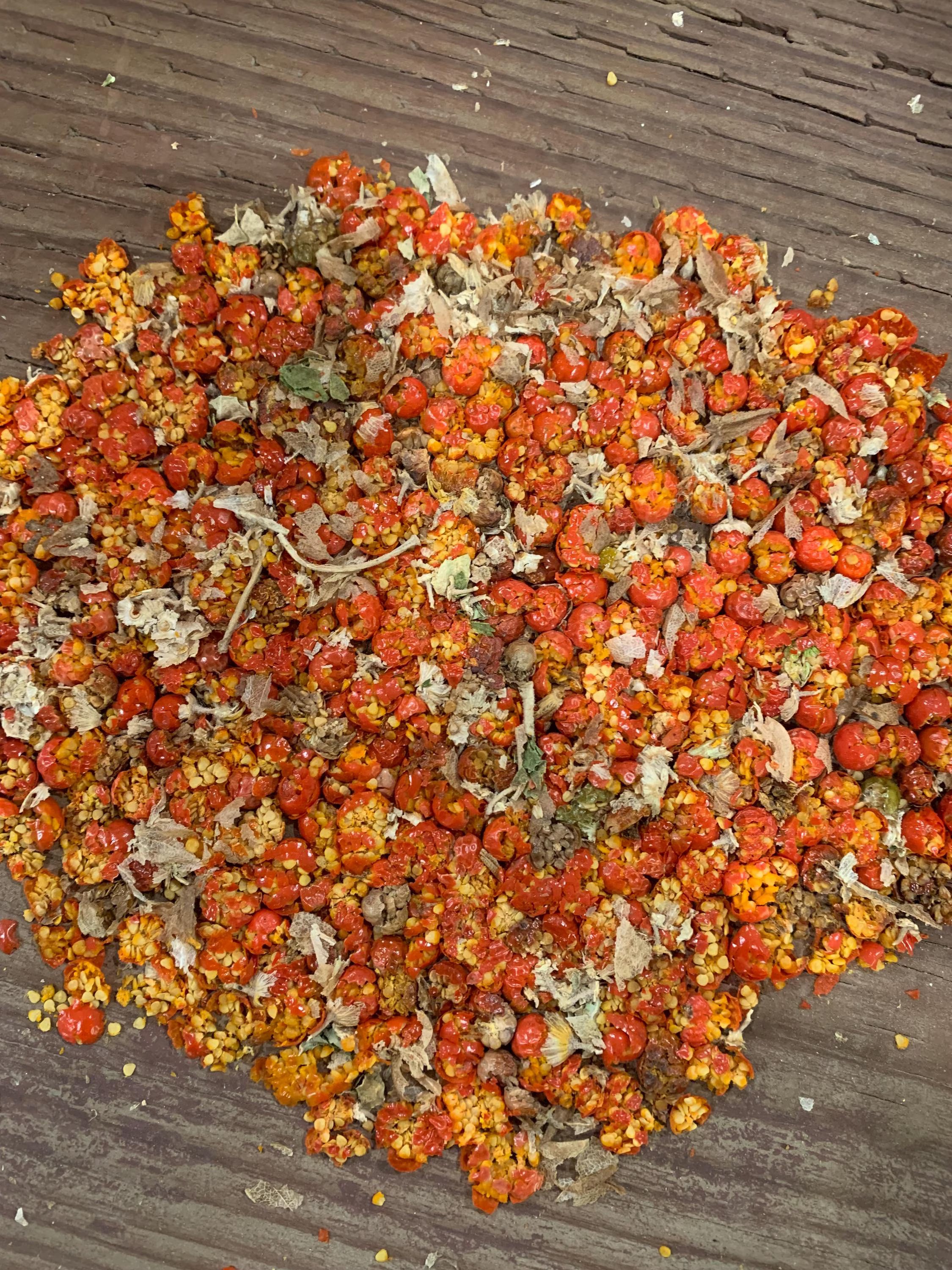 Ashwagandha Seeds, Heirloom, Non-GMO, organic seeds, herb seeds