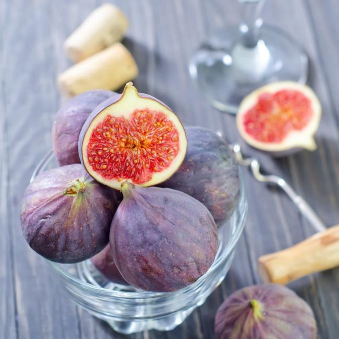 20/100/200 Black Madeira Fig Seeds – Special and Richly Flavored Heirloom Fruit Variety, Ideal for Home Orchards, Containers, and Harvested Gardens(20 Seeds)