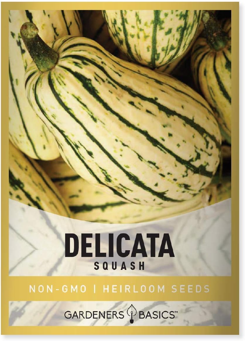 Gardeners Basics, Delicata Squash Seeds for Planting - Winter Squash Heirloom, Non-GMO Vegetable Squash Variety- 3 Grams Seeds Great for Summer Garden(3 grams)