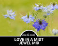 Love in a Mist, Jewel Mix | 200 Seeds | Miss Jekyll Flower | Medicinal Herb | Culinary Spice | Non-GMO | Nigella damascena